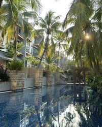 Springhill (D27), Terrace #477323551